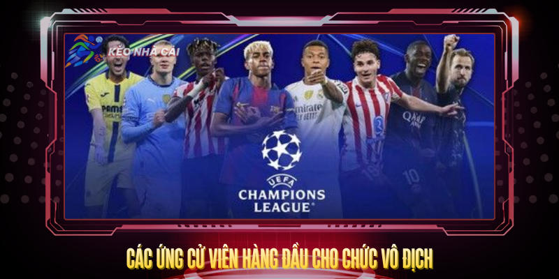 Cac Ung Cu Vien Hang Dau Cho Chuc Vo Dich