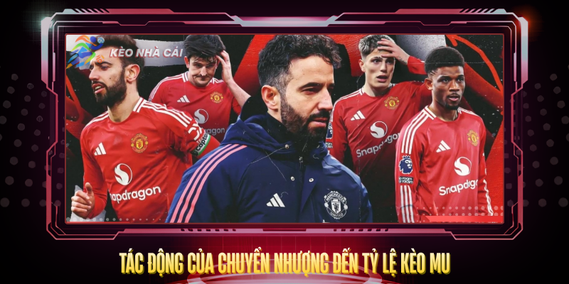 Tac Dong Cua Chuyen Nhuong Den Ty Le Keo Mu