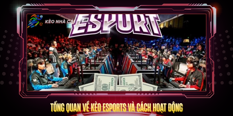 Tong Quan Ve Keo Esports Va Cach Hoat Dong