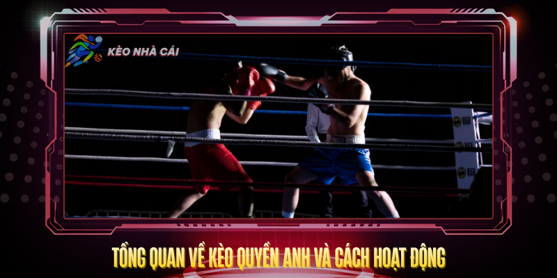 Tong Quan Ve Keo Quyen Anh Va Cach Hoat Dong